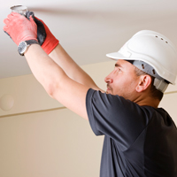 ABCD Services link: Conservation